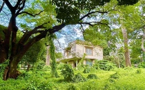 UBND TP.HCM: 3 trong 7 biệt thự cổ ở khu đất số 1 Lý Thái Tổ xuống cấp nặng, cần xử lý