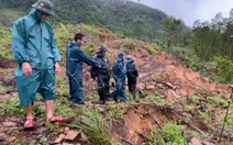 Khoảng 10 vết nứt trên núi Ngang, 59 hộ dân được cấp tốc di dời