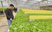 TP.HCM chỉ đạt 1,5m² mảng xanh/người, lo ngại cho sức khỏe cộng đồng và môi trường