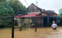 Quy Nhơn ngập lụt, Chủ tịch tỉnh yêu cầu sơ tán dân khỏi nơi nguy hiểm