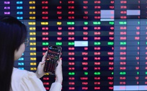 VN-Index tăng liên tiếp, dòng tiền vào chứng khoán vì đâu vẫn 'dè chừng'?