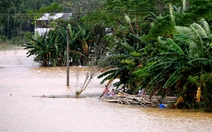 Nhiều làng ven sông Vu Gia - Thu Bồn lại mênh mông nước đợt mưa lũ mới