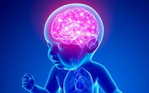 Phát hiện đáng ngạc nhiên về não trẻ sơ sinh