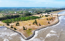 Thu ngân sách TP.HCM bằng 115,5% cùng kỳ, xây mới hơn 12,5 triệu m² sàn nhà ở