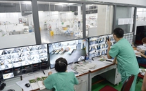 Đài tưởng niệm nạn nhân COVID-19: Biểu tượng của lòng tri ân và lời nhắc về giá trị cuộc sống