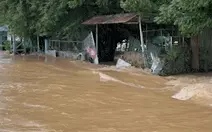 Vào những làng quê bỗng chốc trắng tay trong lũ dữ Phan Rang
