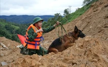 100 bộ đội biên phòng dẫn chó nghiệp vụ tìm kiếm 2 nạn nhân bị vùi lấp ở Đà Nẵng