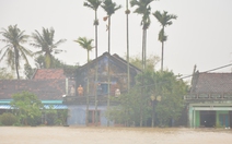 Vào tâm lũ Hòa Xuân, Phú Yên cũ: Những tiếng vọng từ khe cửa sổ, nóc nhà xin tiếp tế đồ ăn