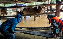 Thời tiết hôm nay 22-11: Quảng Ngãi đến Đắk Lắk và Khánh Hòa vẫn còn mưa