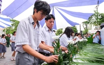 TP.HCM có gần 1.000 người chết do tai nạn giao thông trong 11 tháng