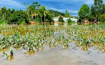 Đồng Nai đề nghị Lâm Đồng phối hợp cung cấp thông tin xả lũ các hồ thủy điện