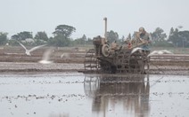 Cuộc thi Lan tỏa năng lượng tích cực 2025: Mùa lúa mới trên những cánh đồng phù sa