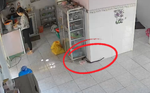Nữ gia chủ hú hồn khi thấy rắn khủng bò trong nhà