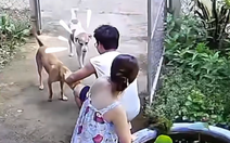 Sống chung một nhà sao mà đứa thương đứa ghét