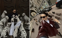 Mấy 'em xinh' đua nhau tạo dáng với thú cưng AI