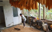 Gạo cứu trợ chưa kịp ăn đã trộn bùn lũ, người dân nhặt lại những gì còn sót