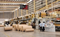 Cổ phần áp đảo về tay người Thái, Công ty CP Bao bì Biên Hòa muốn rời sàn chứng khoán