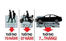 Tuổi thọ của đá lát vỉa hè là 70 năm hay 7 tháng?