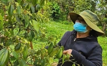 5 hiệp hội ngành hàng tỉ đô kiến nghị Quốc hội gỡ khó vụ thuế giá trị gia tăng