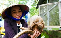 Bên trong khu cứu hộ động vật hoang dã quý hiếm bậc nhất miền Tây