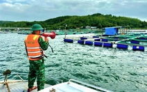 Đắk Lắk ra công điện khẩn ứng phó với bão số 15, sơ tán dân khỏi khu vực nguy hiểm