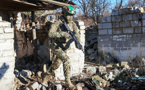 Kế hoạch hòa bình cho Ukraine: Hòa ước hay hàng ước?