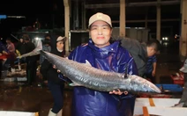 Cảng cá Thọ Quang nhộn nhịp tàu thuyền, ngư dân phấn khởi vì hải sản được giá