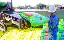 Đạm Phú Mỹ, Đạm Cà Mau cùng nhiều doanh nghiệp phân bón đồng loạt báo lãi đậm