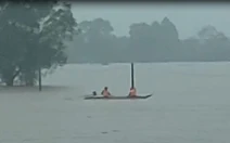 Giải cứu 7 người mắc kẹt giữa đồng ruộng bên sông Hiếu