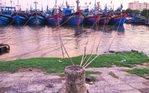 Đặc khu Trường Sa sẵn sàng đón tàu ngư dân tránh trú bão  Kalmaegi