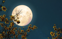 Việt Nam sắp đón siêu trăng Hải Ly - trăng tròn, sáng và lớn nhất năm 2025