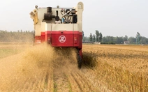 Trung Quốc cảnh báo gián điệp nước ngoài săn dữ liệu hạt giống, đe dọa an ninh lương thực