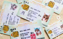 Thú cưng ở Hong Kong có được cấp căn cước định danh?