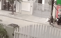 Tông văng người khác lên vỉa hè, còn lao vào đánh tới tấp: Tạm giữ hình sự 1 nghi can