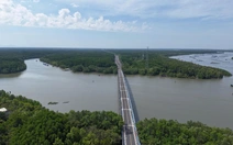 TP.HCM sẽ bảo vệ nguyên vẹn 34.809 ha rừng phòng hộ Cần Giờ