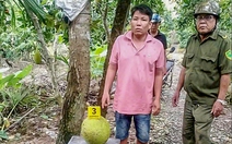 Vì sao trộm 2 trái mít lại bị khởi tố?