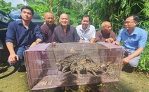 Thả 4 con mèo rừng quý hiếm về rừng U Minh Hạ