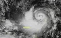 Bão Kalmaegi có thể gây ra rủi ro rất lớn với vùng biển và đất liền Quảng Ngãi, Gia Lai, Đắk Lắk