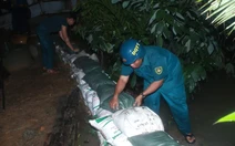 Xã Đông Thạnh tất bật gia cố bờ rạch Bà Hồng ngăn triều cường