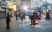 TP.HCM chỉ đạo khẩn: Sẵn sàng phương án ứng phó bão Kalmaegi, trực ban 24/24