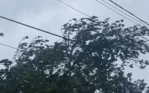 Gió và mưa bão Kalmaegi đã ảnh hưởng trên đất liền, dự báo bão vào bờ sớm hơn