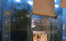 Cửa kính khách sạn bị gió giật bể nát, Lý Sơn sóng như nuốt cầu cảng