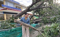 Hỗ trợ khẩn cấp 80 tỉ đồng cho Quảng Ngãi, Gia Lai, Đắk Lắk khắc phục hậu quả bão số 13