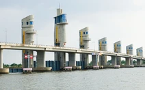 Đóng 9 đến 11 van cống Cái Lớn - Cái Bé để điều tiết nước, hạn chế ngập úng do triều cường