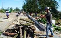 Công ty điện lực, cây xanh ở Đà Nẵng chi viện cho Gia Lai sau bão số 13