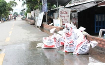 Dù đã xây 'tường thành', người dân Bình Quới, Tân Mỹ vẫn  khổ vì triều cường