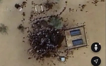 Ảnh từ Google Earth không cho thấy hàng chục người chết nằm trong vũng máu ở Sudan