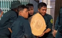 Cây xanh kéo ngã cột điện, đè xe máy trong dông lốc tại Phú Giáo, TP.HCM