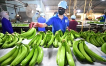 Hướng tới tương lai xanh, thịnh vượng