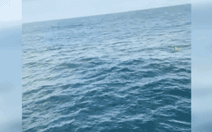 Trôi dạt 2 ngày xuyên bão và sống sót thần kỳ: Cố lên, còn vợ con ở nhà